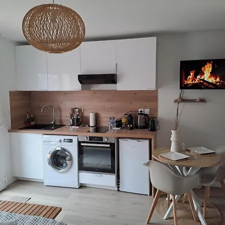 Apartman Moderne, Cosy Et Climatise Pres De Lyon, Aeroport Saint-exupery, Eurexpo Et Groupama Stadium *