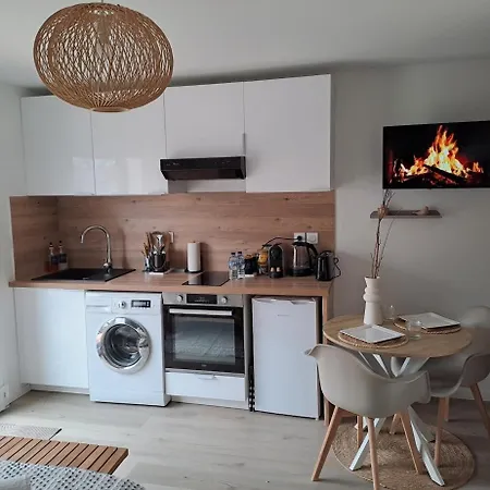 Apartamento Moderne Proche Lyon Et Aéroport *