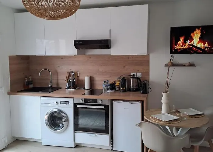 Apartmán Moderne Proche Lyon Et Aeroport *