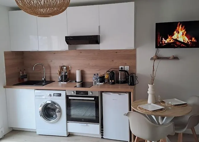Apartmán Moderne Proche Lyon Et Aeroport *